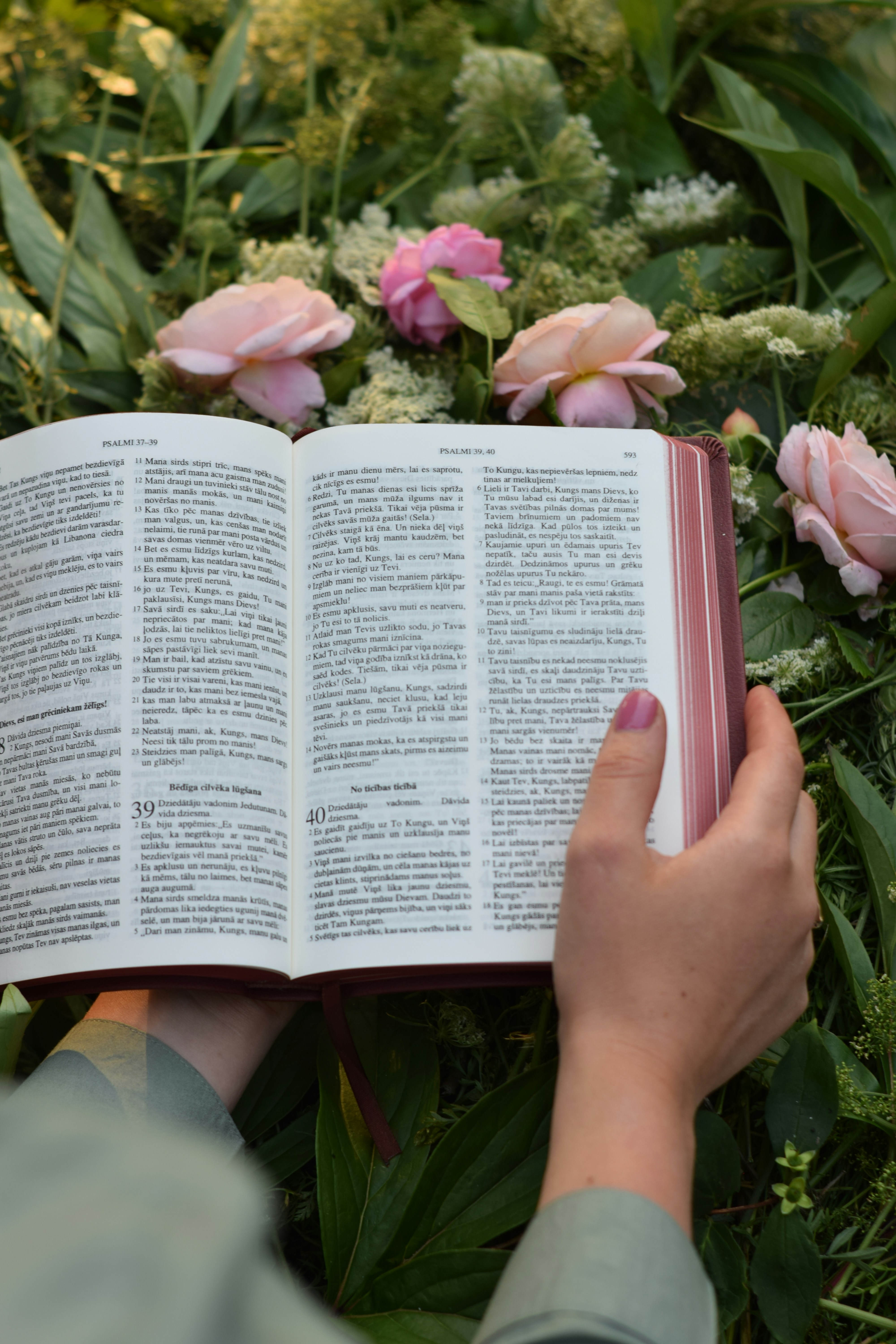 INSPIRE WOMEN BIBLE STUDY